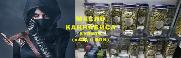 молекула духа Волоколамск